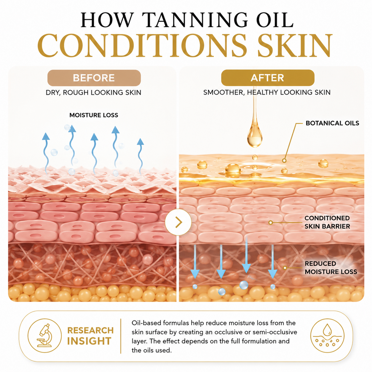 Scientific illustration showing botanical oils smoothing and conditioning the skin surface.