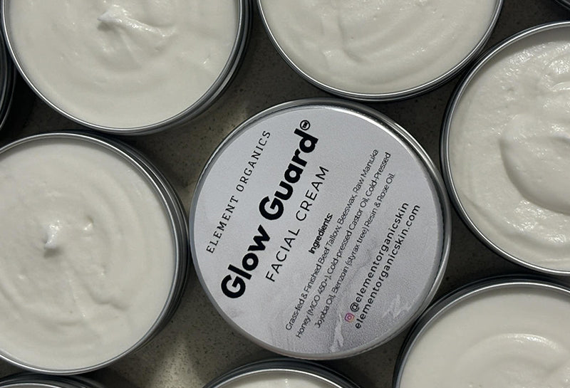 Key Ingredients & How They Support Your Tan