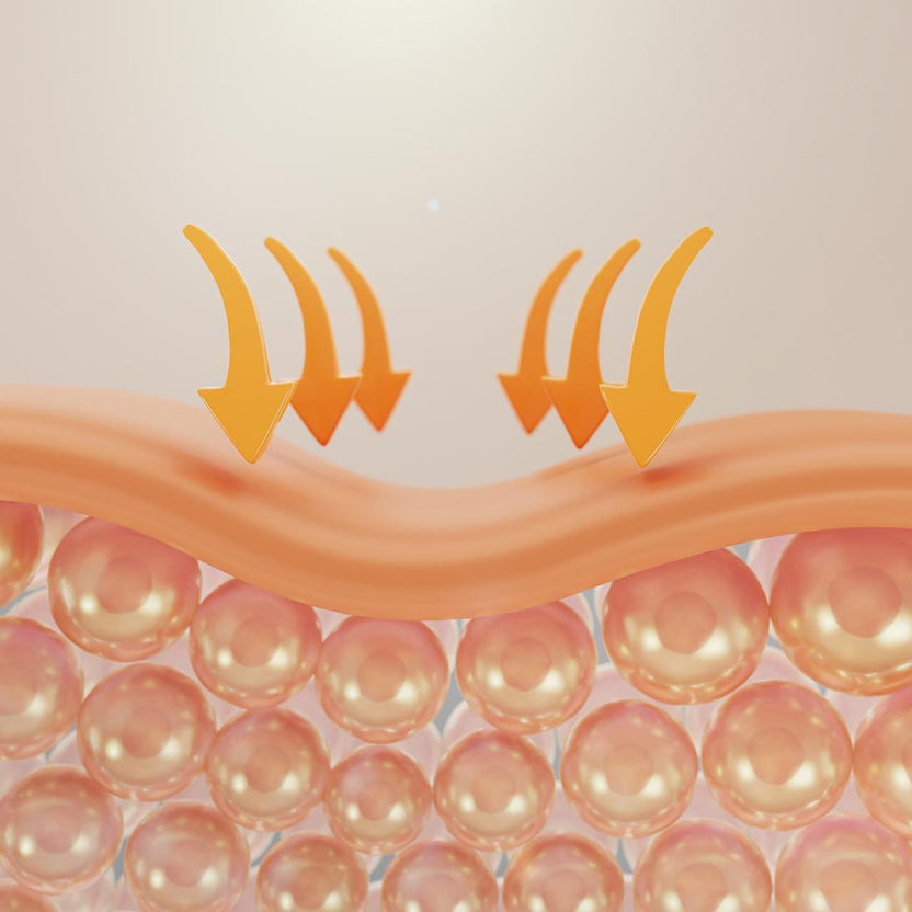 Skin barrier illustration showing hydration levels
